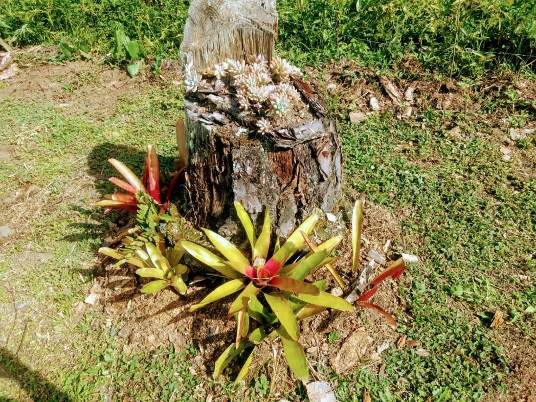 Chalé Vale das Flores - Visconde de Mauá Rj Exterior foto