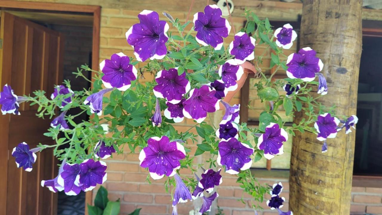 Chalé Vale das Flores - Visconde de Mauá Rj Exterior foto
